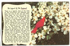 THE LEGEND OF THE DOGWOOD, 1960 used Postcard