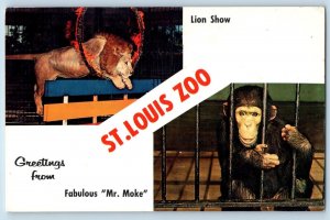 Missouri MO Postcard Thrills & Fun At The St Louis Zoo Lion Show & Mr Moke
