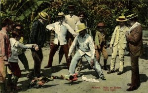 cuba, HAVANA, Riña de Gallos, Cockfight (1910s) Postcard