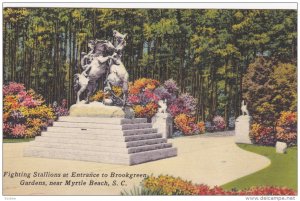 Fighting Stallions At Entrance To Brookgreen Gardens, Near MYRTLE BEACH, Sout...