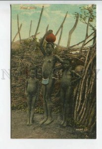 438899 SOUTH AFRICA CAPE TOWN Kraal Attire nude children Vintage postcard