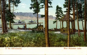 NY - Adirondacks. Blue Mountain Lake