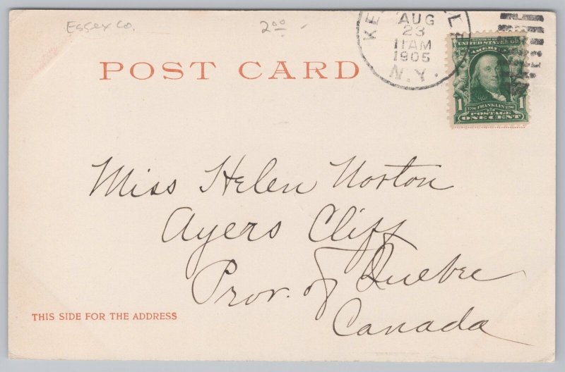 State View~Rainbow Falls~Ausable Chasm NY~UDB~Detroit Photo Co 1905 Postcard