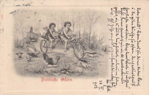 FROLICHE OSTERN~CHERUBS RIDE TANDEM BICYCLE-FAHRRAD~1902 AUSTRIA PSTMK POSTCARD