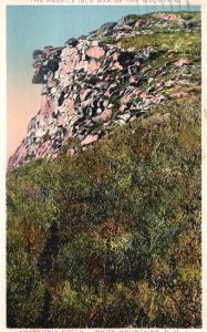 Vintage Postcard 1914 Franconia Notch Rock White Mountains New Hampshire Chishol
