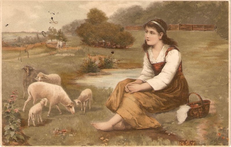 Shepherdess. Sheeps pasturing Nice old vintage German postcard