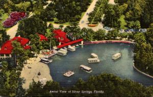 Florida Silver Springs Aerial View Curteich