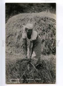 191963 CEYLON Singhalese girl cleaning Vintage photo postcard