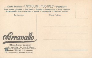 Italy Venice Ferruginous cinchona wine SERRAVALLO advertising postcard 