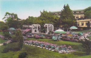 Maine Ogunquit Terrace Garden And Garden Of the Pines The Lookout Albertype