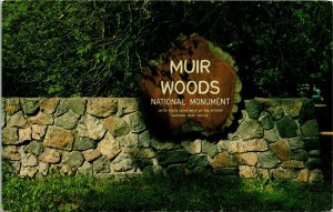 Muir Woods National Monument Entrance Redwoods Postcard VTG UNP Vintage Unused 