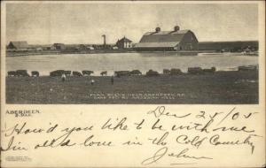 Aberdeen SD Farm & Artesian Well c1905 UDB Postcard