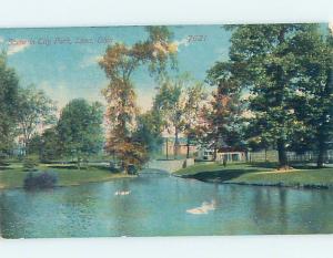 Unused Divided-Back PARK SCENE Lima Ohio OH hk8932