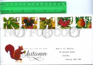 242235 UK 1993 year AUTUMN berries and fruits set FDC