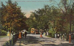 LP10  Boston, Massachusetts, MA, Postcard, Public Garden, 