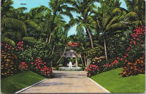 A Beautiful Home In Sunny Florida Linen Postcard C088