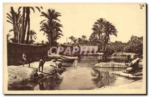 Old Postcard From A Corner Marrakech La Palmeraie