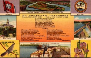 Tennessee Showing State Flag State Bird State Capitol & More 1950 Curteich