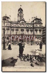 Postcard Old Lyon tame Pigeons from Place Bellecour