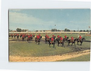 Postcard Musical Ride, Royal Canadian Mounted Police, Canada