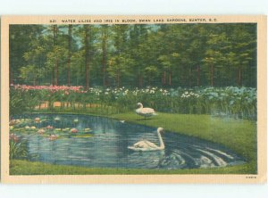 Linen LAKE SCENE Sumter South Carolina SC AE4413