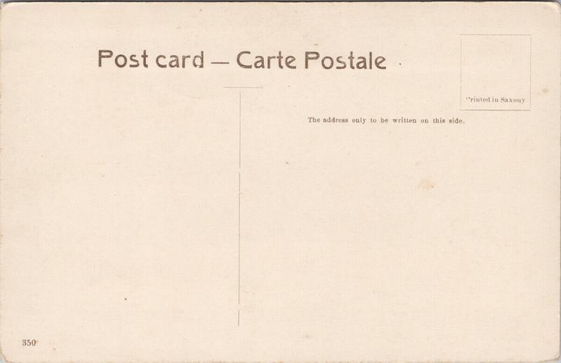 Sally Port Where Tippoo Fell Seringapatam India Unused Postcard E59