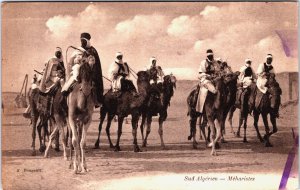 Algeria Sud Algérien Méharistes Vintage Postcard C163