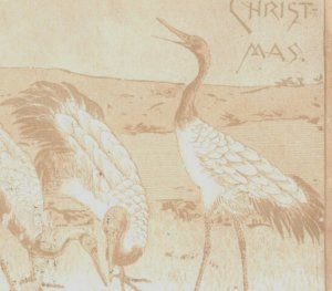 1880s Victorian Christmas Card Cranes Egrets Birds 7D