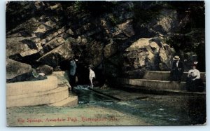 BIRMINGHAM, Alabama AL ~ Avondale Park BIG SPRINGS c1910s  Postcard