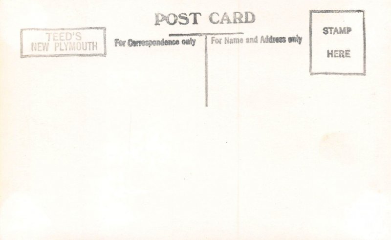 PUKEKURA PARK~1960s TEED PHOTO POSTCARD