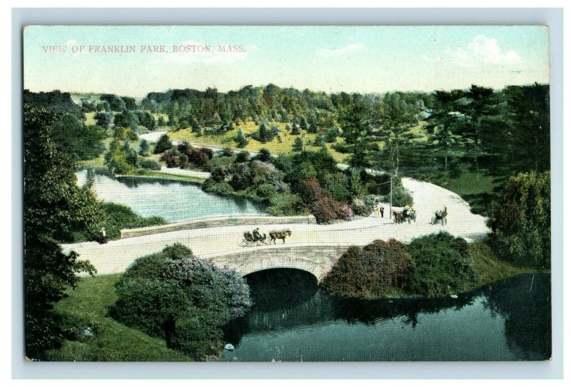 C.1910 Horse Buggy View of Franklin Park, Boston, Mass. Postcard P175 