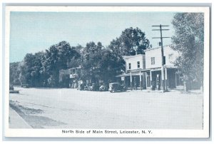 c1920 North Side of Main Street Leicester New York NY Antique Vintage Postcard