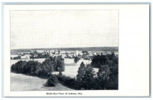 c1910 Birds-Eye View of Ashton Ontario Canada Unposted Antique Postcard