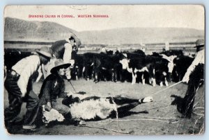 c1910's Branding Calves In Corral Western Nebraska NE Antique Posted Postcard