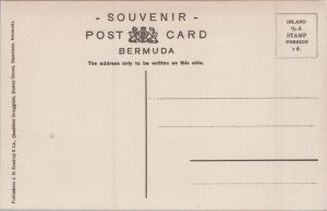 Bermuda Victoria Park Vintage Postcard C279