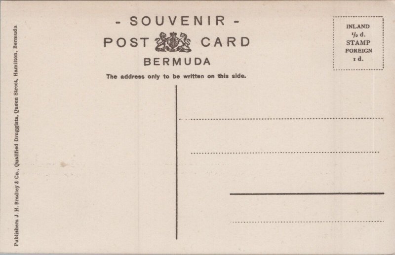 Bermuda Victoria Park Vintage Postcard C279