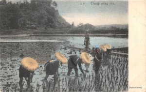 Lot 94 transplanting rice field handcolored agriculture type japan china vietnam