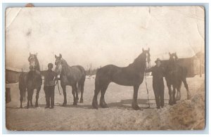 c1910's Large Horses Steed Farm Brace Bridge Ontario Canada RPPC Photo Postcard