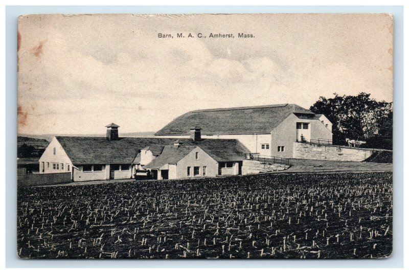 1911 Barn  M. A. C. Amherst MA Postcard Excelsior Germany