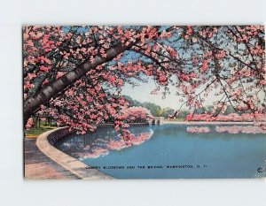 Postcard Cherry Blossoms And The Bridge, Washington, District of Columbia