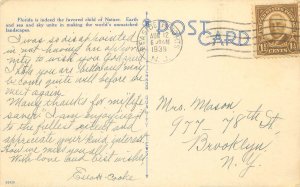 Tropical Splendor Finds All Its Glory in Florida Palm Tree Linen Postcard