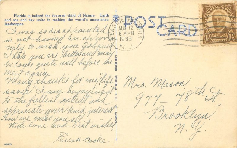 Tropical Splendor Finds All Its Glory in Florida Palm Tree Linen Postcard