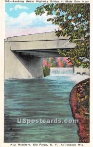 Highway Bridge, State Dam, Fish Hatchery - Old Forge, New York NY  