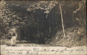 Pleasant Valley Connecticut Youngsdale Watering Trough Barkhamsted? RPPC