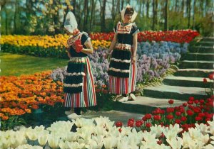 Postcard Holland native women folk costumes tulip flowers garden