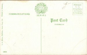 Vtg 1910s Swinging Bridge Big Trees Santa Cruz California CA Unused Postcard