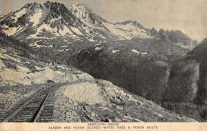 White Pass Yukon Route Sawtooth Range Scenic View Antique Postcard K86982