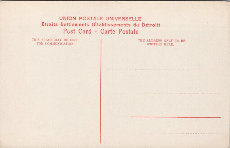 Singapore Botanical Gardens Unused Postcard G99