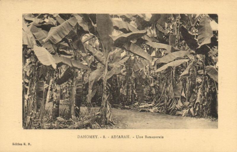 CPA Dahomey Afrique -  Adjarah - Une Bananeraie (86761)