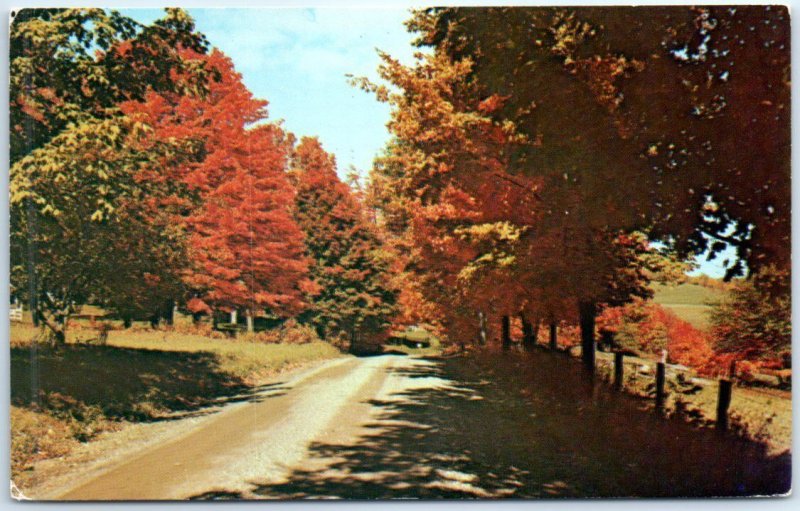 Postcard - Vermont's Fall Foliage between Sept. 25th and Oct. 15th - Vermont